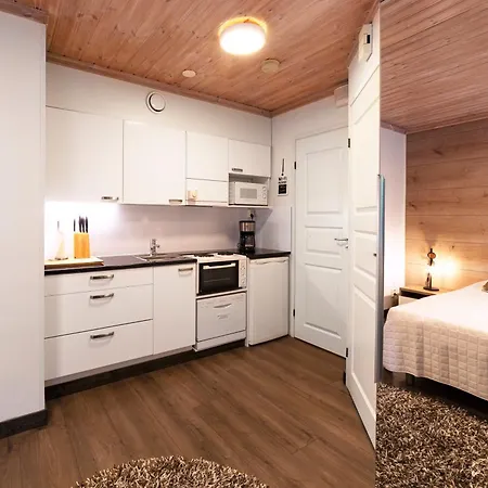 Weekend Lejlighed Vuokatti